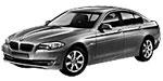 BMW F10 P1874 Fault Code